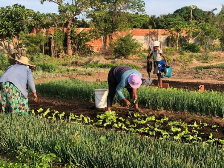 Governo seleciona entidades para compor a Comissão Estadual de Agroecologia e Produção Orgânica (Ceapo)