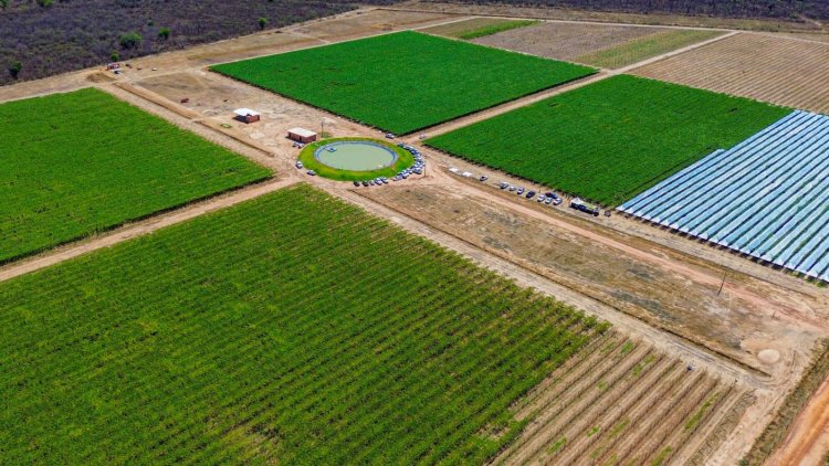 Barra se consolida através da Fruticultura Irrigada como a Nova Fronteira Agrícola da  da Bahia