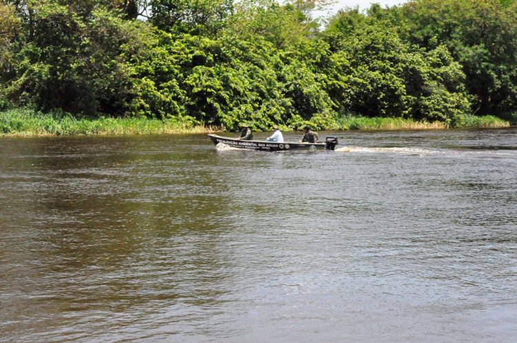 Piracema: Meio Ambiente de Barreiras inicia Operação Dourado para proteger espécies de peixes.